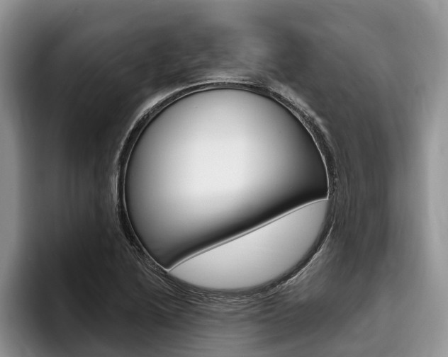 X0000096171222200801180823