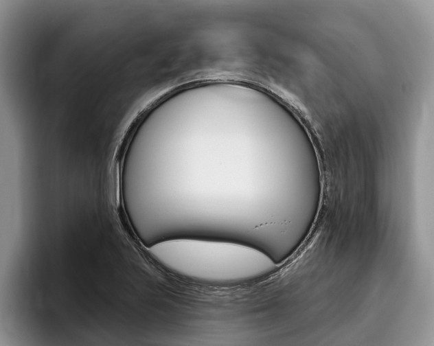 X0000096171223200801180823