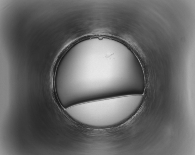 X0000096171224200801180823