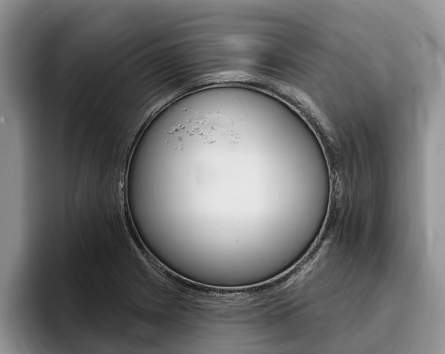 X0000096171225200801180823