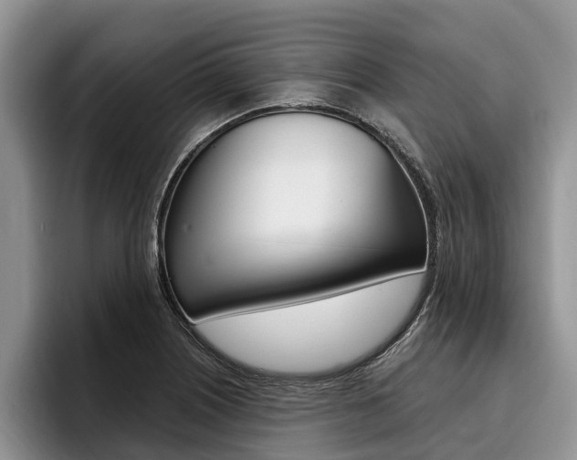 X0000096171226200801180823