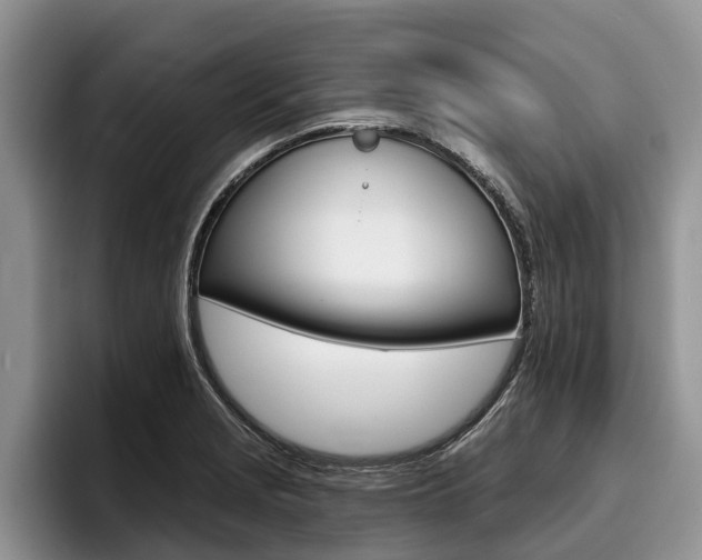 X0000096171229200801180823