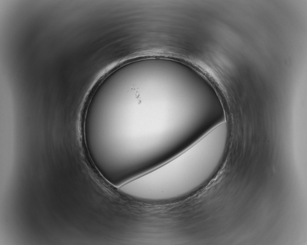 X0000096171230200801180823
