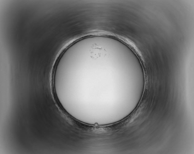 X0000096171231200801180823