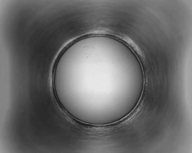 X0000096171232200801180823