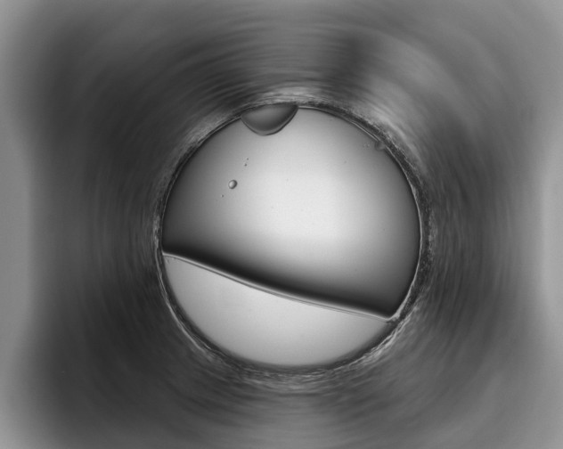X0000096171233200801180823