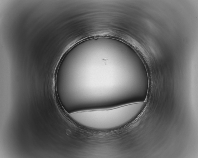 X0000096171234200801180823