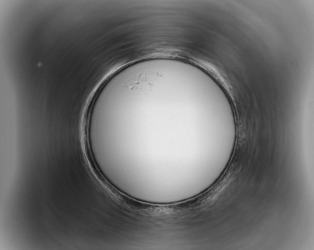 X0000096171235200801180823
