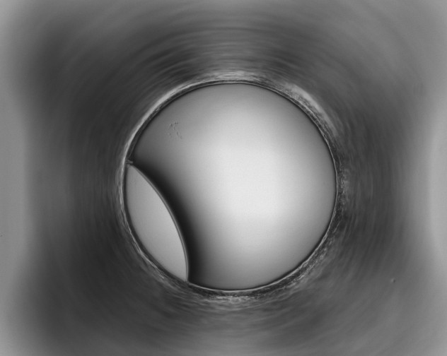 X0000096171236200801180823