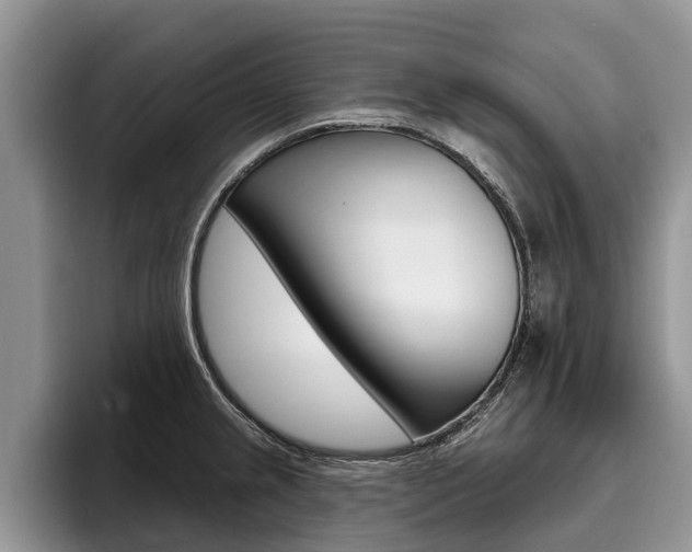 X0000096171237200801180823