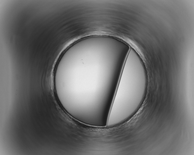X0000096171238200801180823