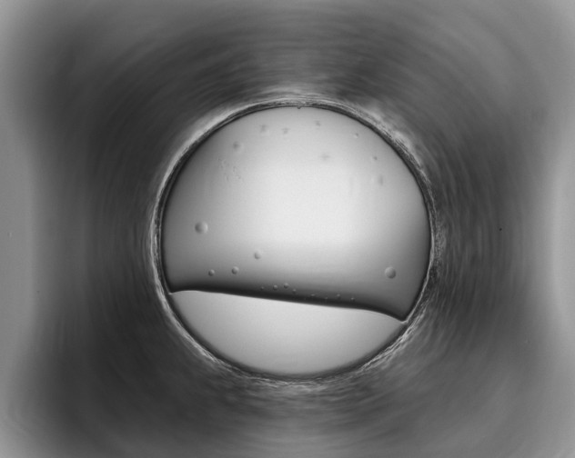 X0000096171239200801180823