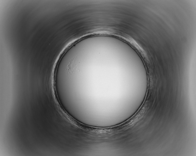 X0000096171240200801180823