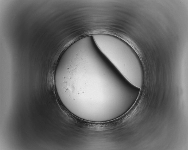 X0000096171241200801180823