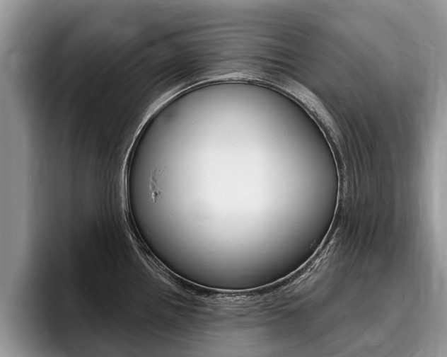 X0000096171242200801180823