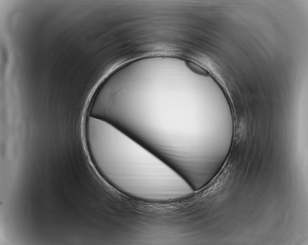 X0000096171243200801180823