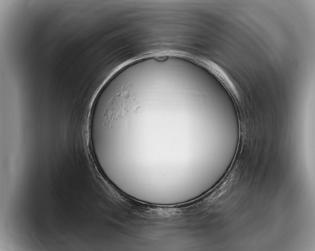 X0000096171244200801180823