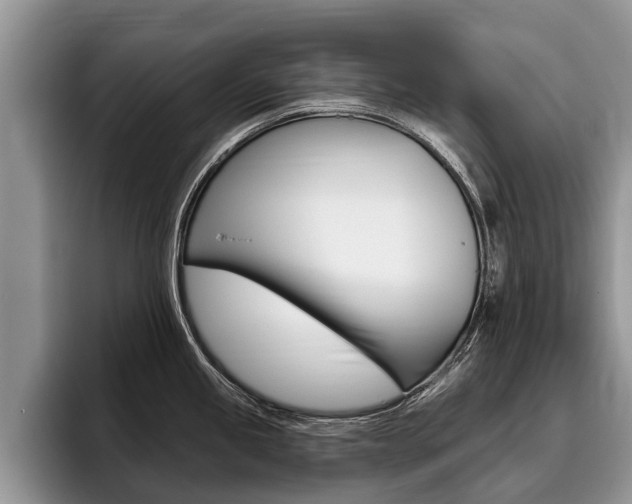 X0000096171245200801180823