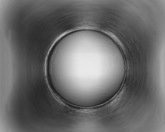 X0000096171246200801180823