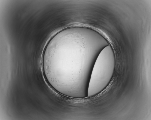 X0000096171247200801180824