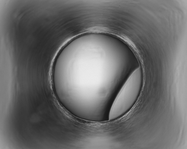 X0000096171248200801180824