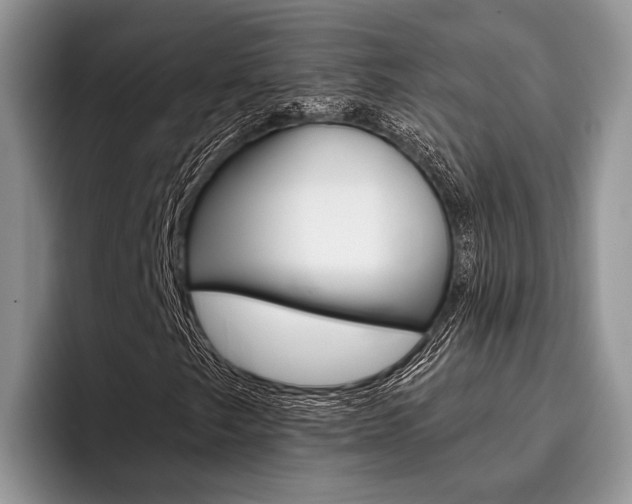 X0000096171249200801180823