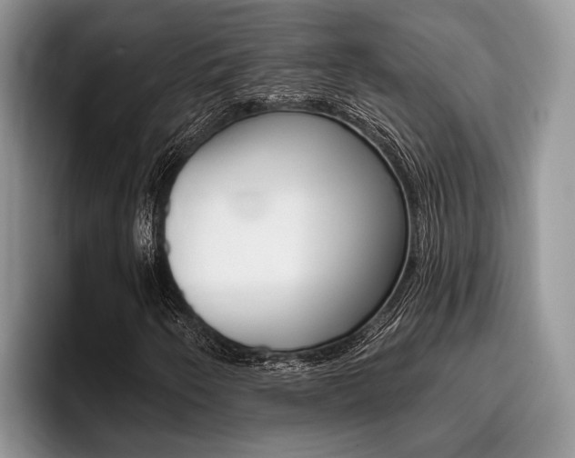 X0000096171250200801180823