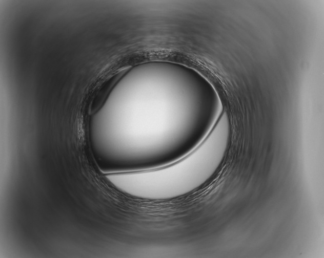 X0000096171252200801180823