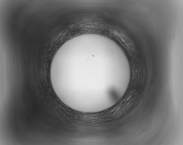 X0000096171253200801180823