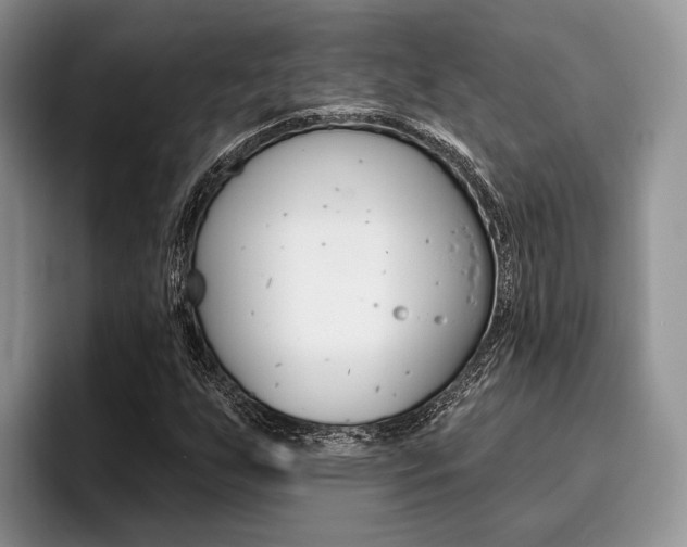 X0000096171255200801180823