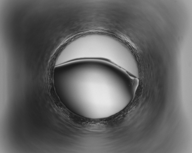 X0000096171256200801180823