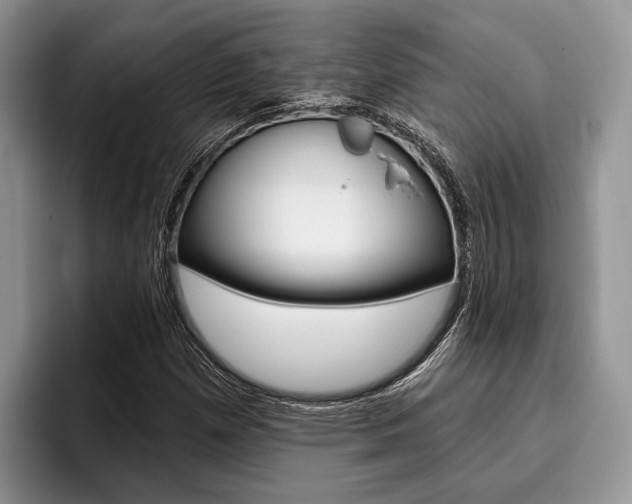 X0000096171257200801180823