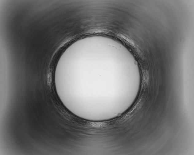 X0000096171258200801180823