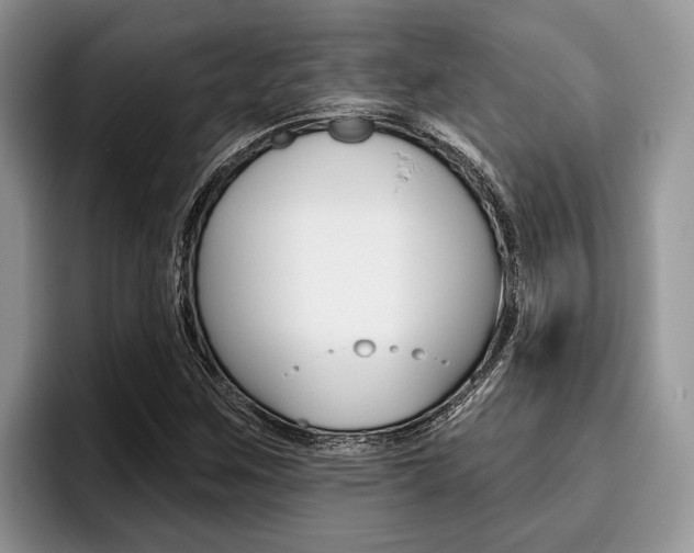 X0000096171259200801180823