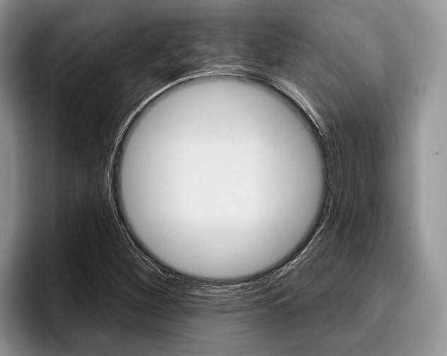 X0000096171260200801180823
