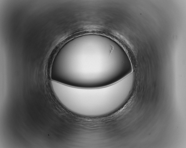 X0000096171261200801180823