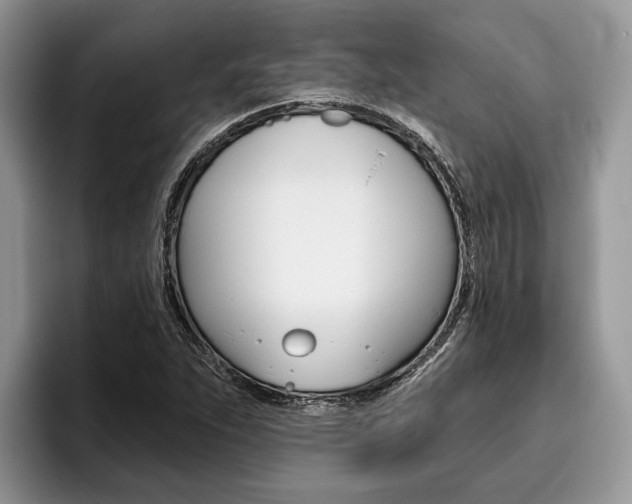 X0000096171263200801180823