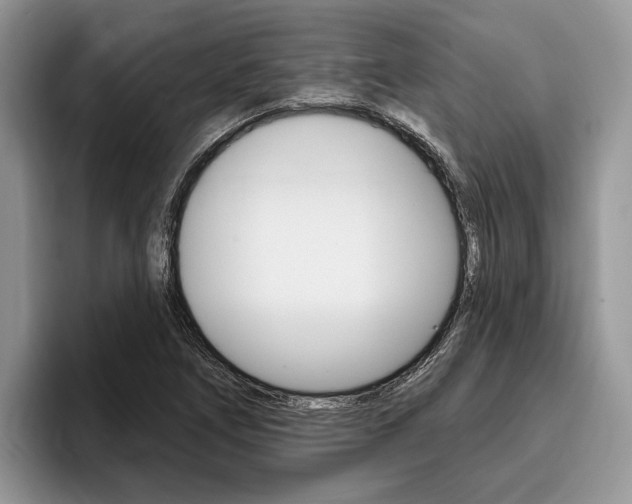 X0000096171266200801180823