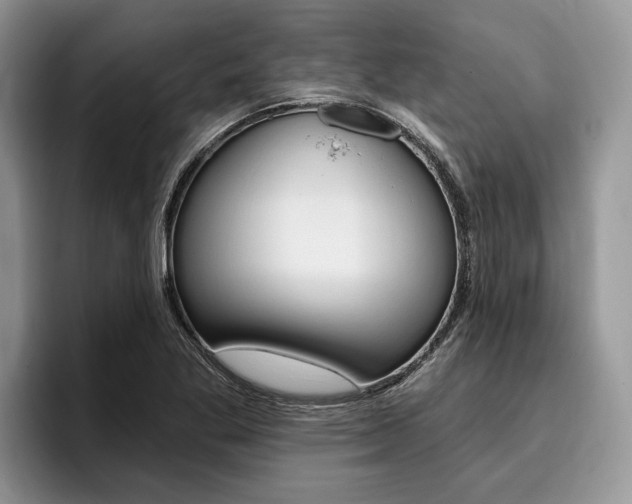 X0000096171269200801180823