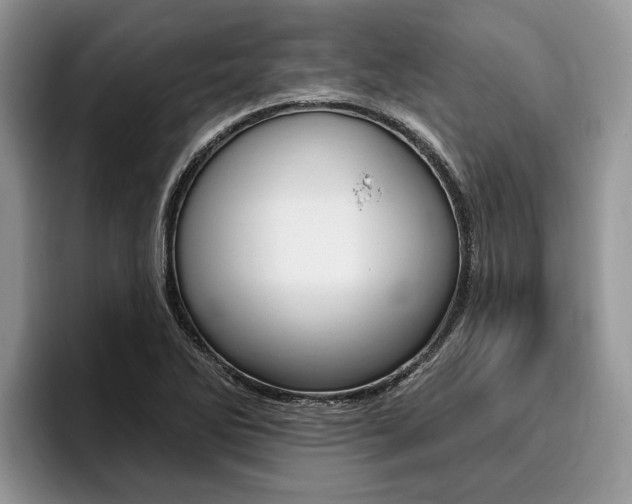 X0000096171270200801180823