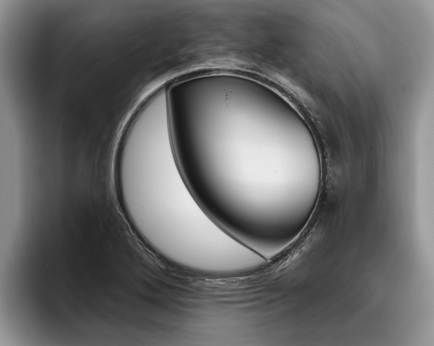 X0000096171272200801180823