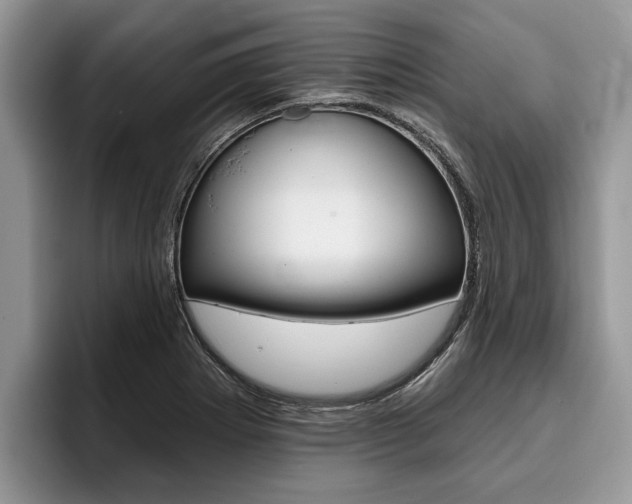 X0000096171273200801180823