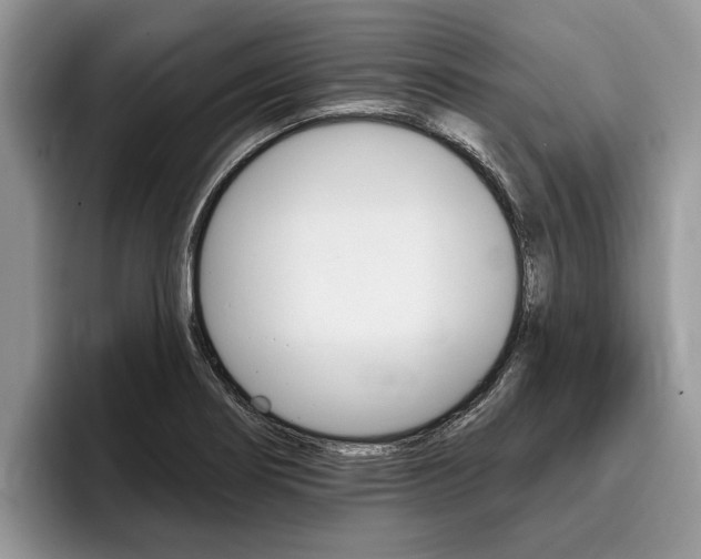 X0000096171274200801180823