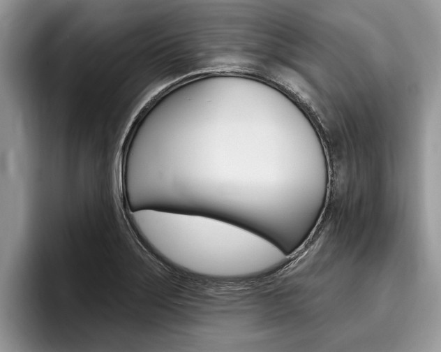 X0000096171275200801180823