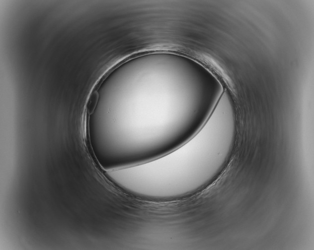 X0000096171276200801180823