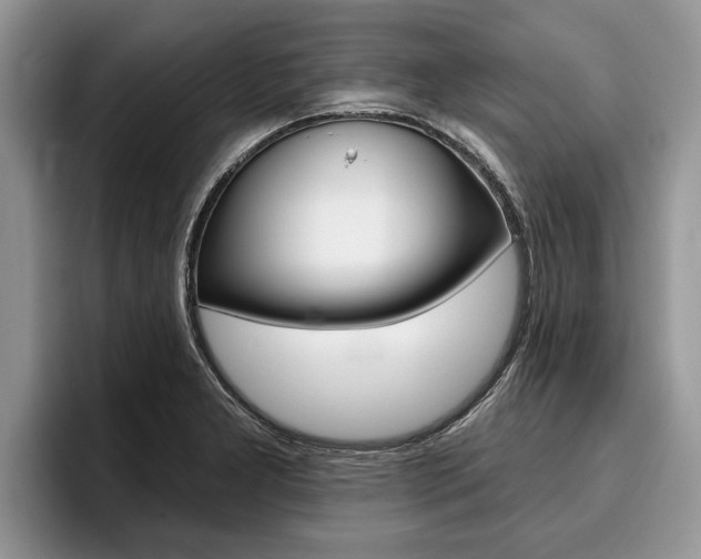 X0000096171277200801180823