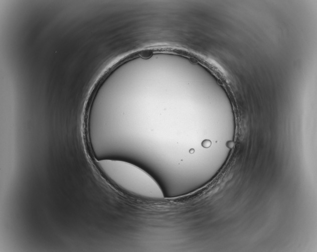 X0000096171279200801180823