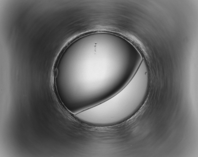X0000096171280200801180822