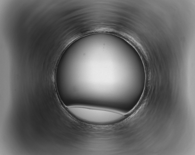 X0000096171281200801180822
