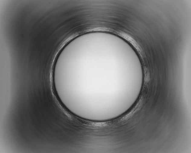 X0000096171282200801180822